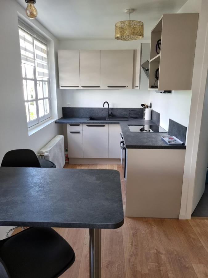 Location Saisonniere Appartement Situe A ソミュール エクステリア 写真